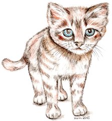 Katzenkind - Kätzchen, Katze, Haustier, Anlaut K, Illustration