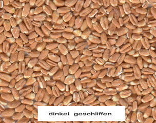 Dinkel - geschliffen - Getreide, Hafer, Brot, Dinkel, Haferflocken, Korn