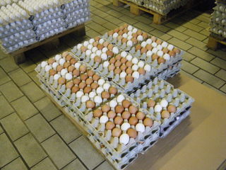 Hüherhof #3 - Hühnerhof, Eier, Verpackung, zwanzig, Güteklasse, Lagerung, Mathematik, Einmaleins