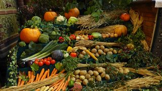 Früchte zum Erntedankfest #1 - Herbst, Erntedank, Erntedankfest, Erntekrone, Altar, Altarraum, Kircheninnenraum, Kürbis, Gemüse, Früchte, Brauchtum