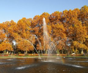 Herbstimpression - Herbst, Herbstfarben, Wald, Bäume, Laubfärbung, Springbrunnen