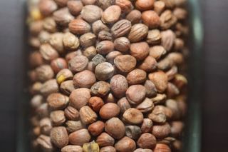 Radieschen-Samen - Radieschen, Saat, Samen, Sprossen, Makro, Makroaufnahme