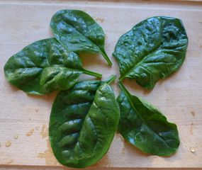 Spinatblätter - Spinat, Blatt, Spinatblaetter, Gemüse, grün, fünf