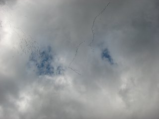 Kraniche ziehen nach Süden - Kraniche, Schwarm, Zugvogel, Himmel, Wolken, Formation, Formationsflug, fliegen