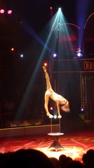Akrobatik #3 - Zirkus, Wanderzirkus, Manege, Spielstätte, Vorführung, Akrobatik