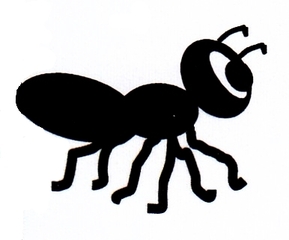 Ameise - Anlaut A, Inlaut ei, Insekten, Tiere