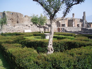 Pompeji - Vegetation - Italien, Pompeji, Antike, Vesuv, alt, Vegetation