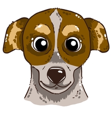 Hund - Hund, Portrait, dog, Säugetier, Haustier, Anlaut H, Illustration, Cartoon