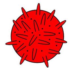 Virus rot - Virus, Zeichnung, rot rund, Corona, Anlaut V, Krankheitserreger, Infektion, Ansteckung