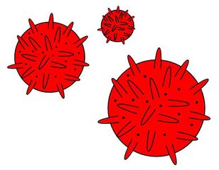 Viren rot - Virus, Viren, rot, Corona, drei, Anlaut V, Krankheitserreger, Infektion, Ansteckung