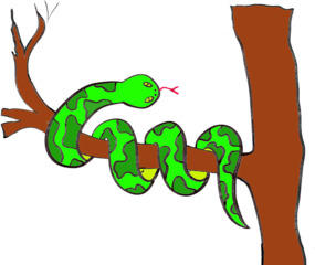 Schlange - Schlange, Reptil, Tier, Anlaut Sch, Zunge, Illustration, Dschungel, gemustert