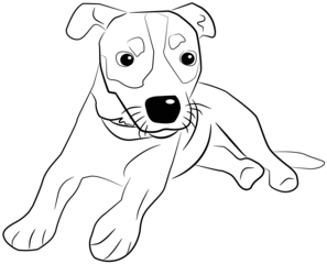 Jack Russell Terrier - Hund, Haustier, Tier, Terrier, Jack Russell Terrier, Hunderasse
