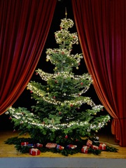 Weihnachtsbaum - Weihnachten, Christmas, Tannenbaum, Weihnachtsbaum, Tanne, Lichter