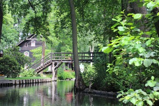 Spreewald - Deutschland, Brandenburg, Spreewald, Spree, Wasser, Baum, Bäume, Ufer, Flussaue, Auwald, Ruhe, Wald, Meditation, Stille, Spiegelung, Fließ, Fließe, Biosphärenreservat