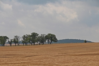 Sommerlandschaft Thüringen - Sommer, Feld, reif, Getreide, Jahreszeit, Landschaft, sommerlich