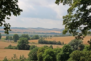 Sommerlandschaft Thüringen  - Sommer, Jahreszeit, Feld, reif, Weite, sommerlich