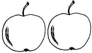 Apfel Menge 2 - Apfel, Mengenbild, zwei, Anlaut A