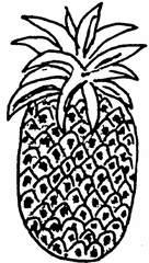 Ananas - Ananas, Frucht, Anlaut A, Obst