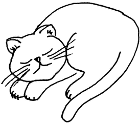 schlafende Katze - Katze, Kätzchen, schlafen, Anlaut K, Illustration, Wörter mit tz