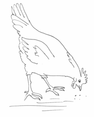 Huhn - Zeichnung - Huhn, Henne, Glucke, Haushuhn, Haustier, Vogel, gackern, Hühnchen, blöd, dumm, rupfen, Hühnerauge, Hühnerhof, picken, Körner, Anlaut H