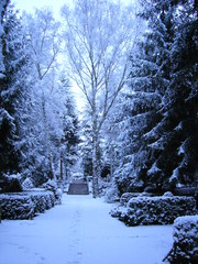 Schneelandschaft - Schnee, Schneefall, Winter, Friedhof, Jahreszeit, Kälte, Ruhe, Frieden, Bäume, Wege, Meditation, Fußspuren, Spuren