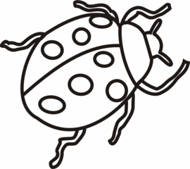 Marienkäfer - Käfer, krabbeln, Insekt, Anlaut M, Glück, Glücksbringer, Silvester, Neujahr, Punkte, Wörter mit ä