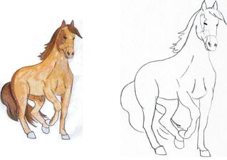 Pferd 2 - Pferd, reiten, Fortbewegung, Haustier, Hoftier, Bauer, Nutztier