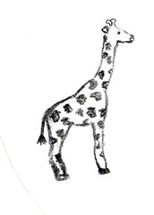 Giraffe - Afrika, Zoo, Giraffe, Anlaut G