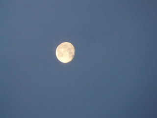 Mond - Mond, Morgen, Nacht, Himmel, Dämmerung, Himmelskörper, leuchten, Mondphase