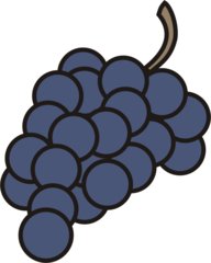 Weintraube - Traube, Trauben, Weintraube, Weintrauben, Wein, Anlaut W, Winzer, Reben, Weinstock, Obst, Früchte, Frucht, blau