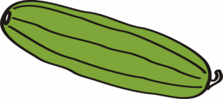 Zuchini - Zucchini - Zuchini, Gemüse, grün, Anlaut Z, Zucchini