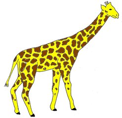 Giraffe bunt - Giraffe, Zootier, Afrika, Anlaut G