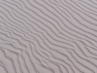 Sandrippeln - Sand, Wind, Wehe, Nordsee, Struktur, Rippeln, Strand, verwehen