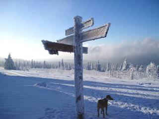 Winter im Harz - Winter, Schnee, Vereisung, Harz, Landschaft, Jahreszeiten, Wegweiser, Kreuzung, Reif, Raureif