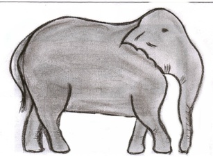 Elefant - Elefant, Afrika, Dickhäuter, schwer, Rüssel, grau, stark, Anlaut E