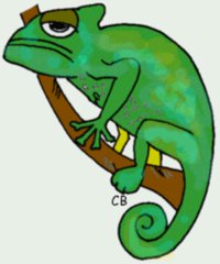 Chamäleon - Tier, Reptil, Chamäleon, grün, Anlaut Ch, grimmig, böse, Humor, Illustration