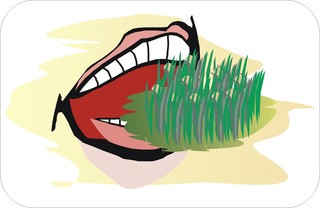 Sprichwörter - bildlich dargestellt - Sprichwort, Redewendung, Umgangssprache, bildlich, Gras, beißen