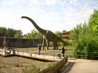 Brachiosaurus - Brachiosaurus, Saurier, Erdgeschichte