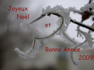 Glückwunschbild zum Jahreswechsel_französisch - Noël, joyeux, bonne, année, Noel