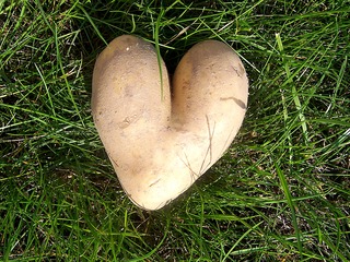Kartoffelherz - Kartoffel, Herz, Liebe, Symbol