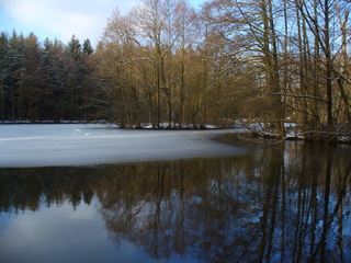 Winter ade 1 - Winter, See, Wasser, Eis, blauer Himmel, Bäume, Wasserspiegelung, tauen