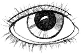 Auge  - Auge, Grundwortschatz, Nomen, Wimper, Pupille, Iris, Lid, Oculus, Sinnesorgan, sehen, eye, see, look, Anlaut Au