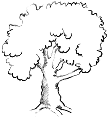 Baum - Baum, Ast, Illustration, Anlaut B, Laubbaum, Baumkrone, tree, Wörter mit au