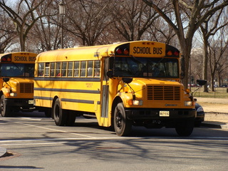 School bus - Schulbus, school bus, USA, Amerika, gelb, Beförderungsmittel, Schüler