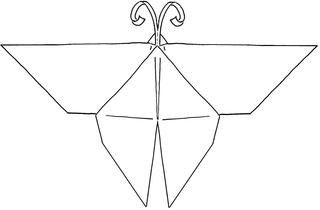 Origami-Schmetterling #1 - Schmetterling, Falter, Origami, Papier, Illustration, falten, basteln, symmetrisch, Symmetrie