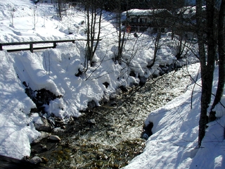 Winter - Bach - Winter, Schnee, Bach, kalt, Bäume, Flussbett