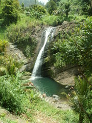 Ein Wasserfall - Wasserfall, Wasser, Grenada, Felsen, Bach, Bäume