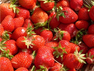 Erdbeeren #1 - Erdbeere, rot, Hintergrundbild, Obst, süß, Frucht, reif
