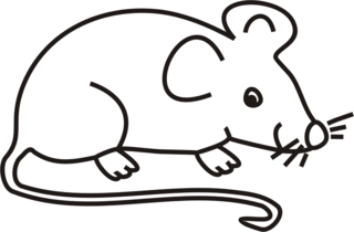 Maus - Maus, Feldmaus, Hausmaus, Mäuse, Anlaut M, Illustration, Wörter mit au
