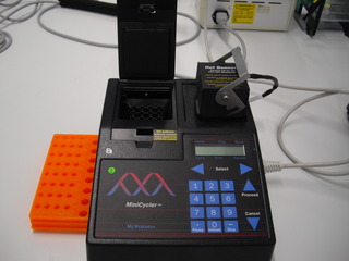 minicycler - Minicyler, Thermocycler, Heizelement, PCR, DNA, Vervielfachung, geringe DNA-Spuren, genetischer Fingerabdruck, Typisierungen